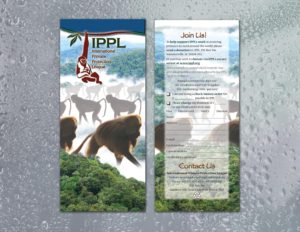 International Primate Protection League | Gatefold Brochure
